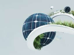 Institutional Development